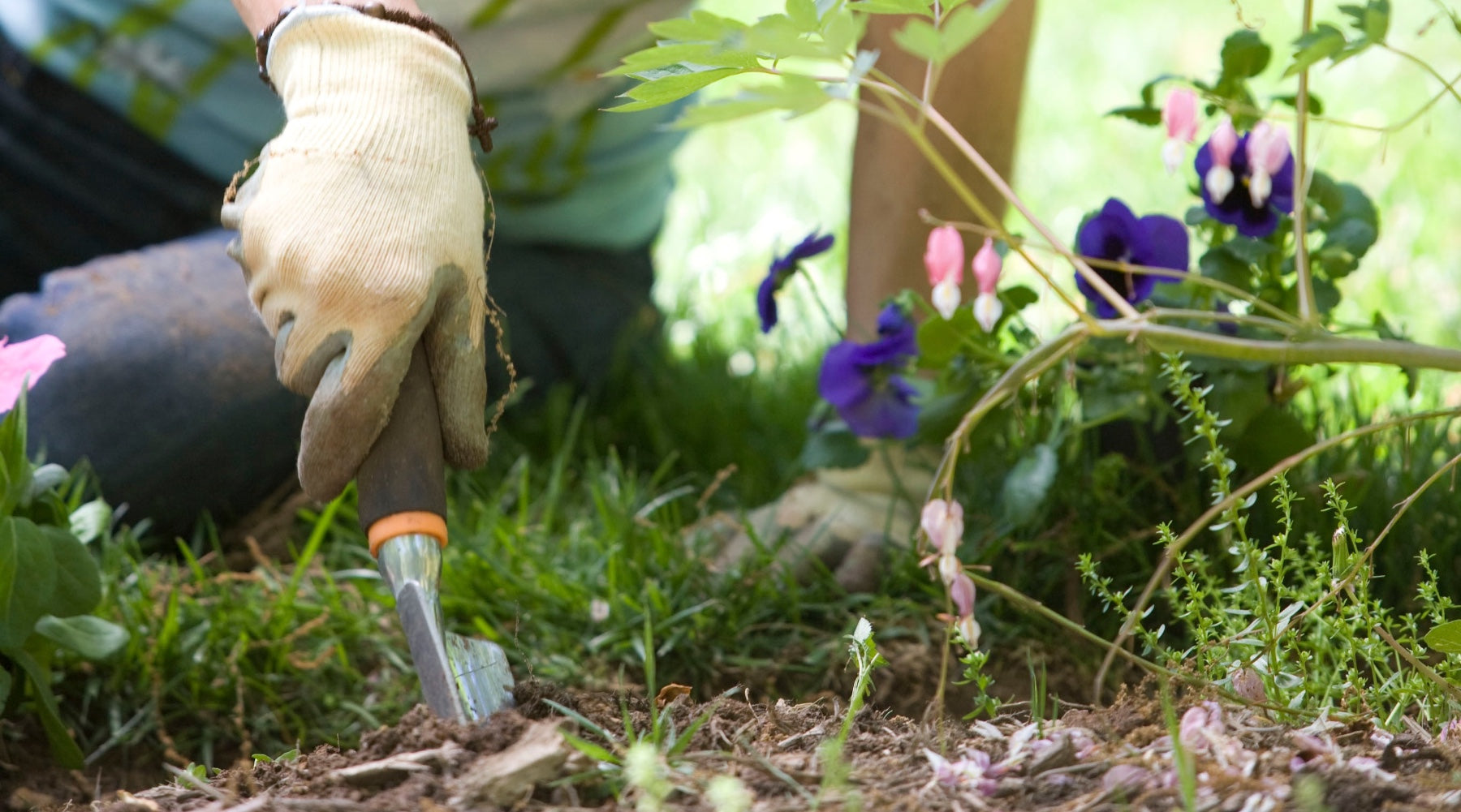 Bee Friendly Gardening in June